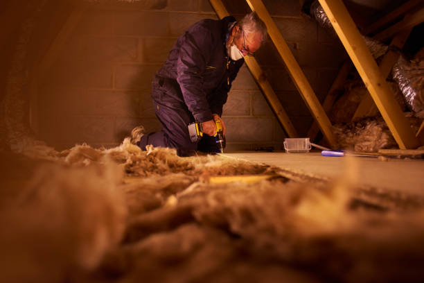 Professional Insulation Services in Schiller Park, IL